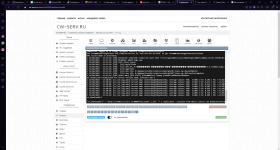 isp.cw-serv.ru_1500 - Opera 02.11.2022 13_22_09.png